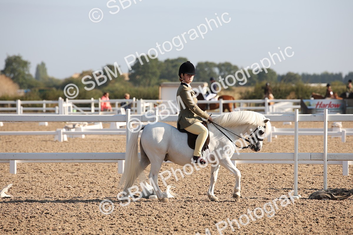 SBM_00609 - Class 14 Ridden M&M Wildcard