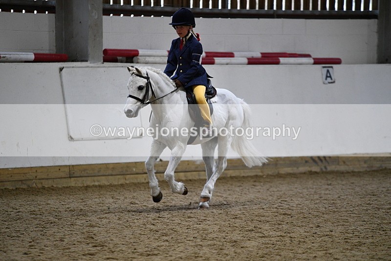 WJ5_7218 - Class 11 Ridden PC - RC Pony