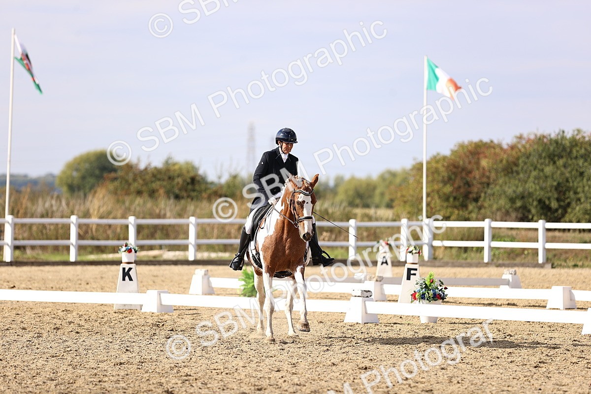 SBM_015458 - Class 11 - FEI PSG