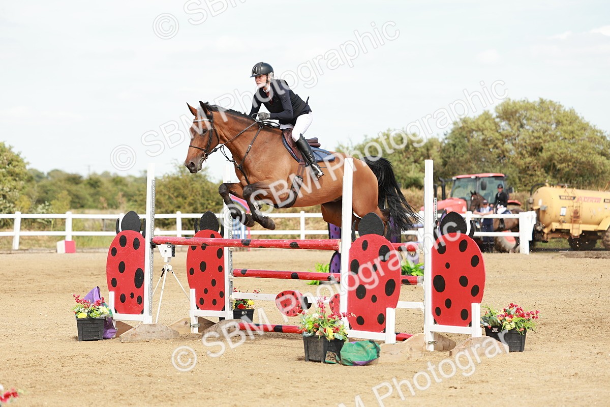 SBM_008077 - Class 4 - Senior Foxhunter - 1.20m Open