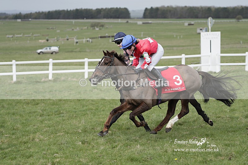 PtP 260323 1032 - New Forest Hounds Point-to-Point Larkhill 26/03/23