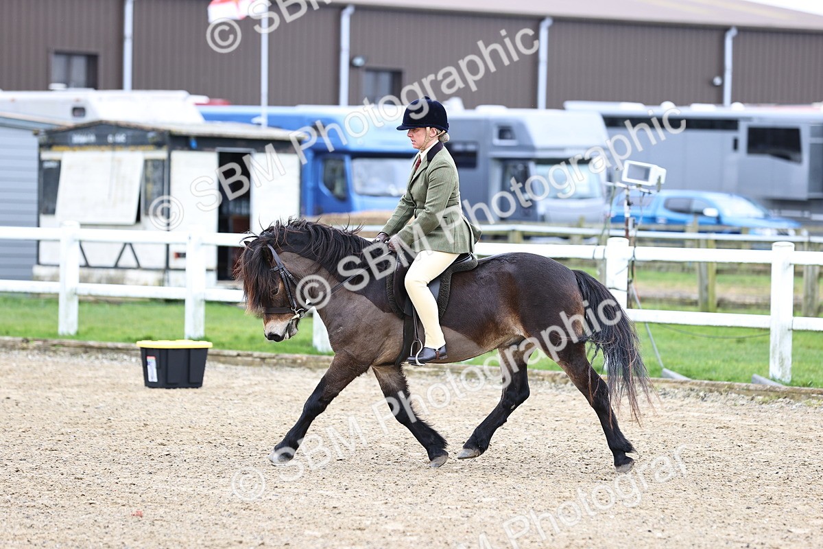 SBM_006803 - Class 29 - 30 - M&M Pure Novice Small-Large Breeds