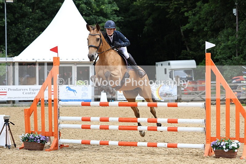 3E7A6203 - Class 4: Senior British Novice/90cm open