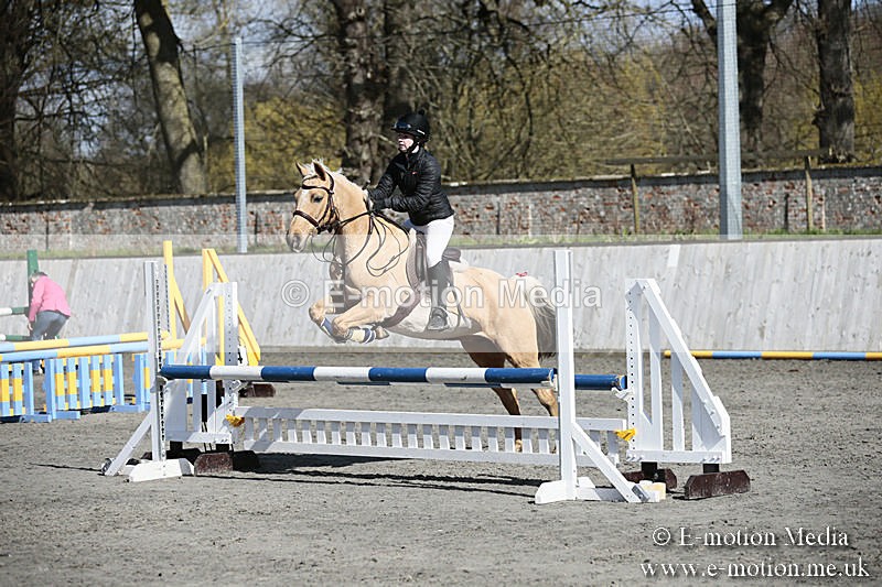 BVRC SJ 170319 521 - Bourne Valley Riding Club Showjumping 17/03/19