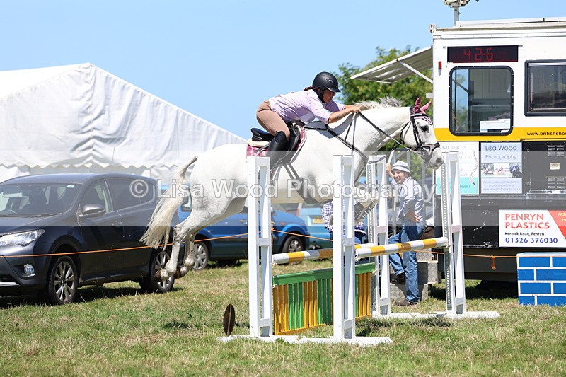 3E7A5665 - Class 9: Senior British Novice/90cm open