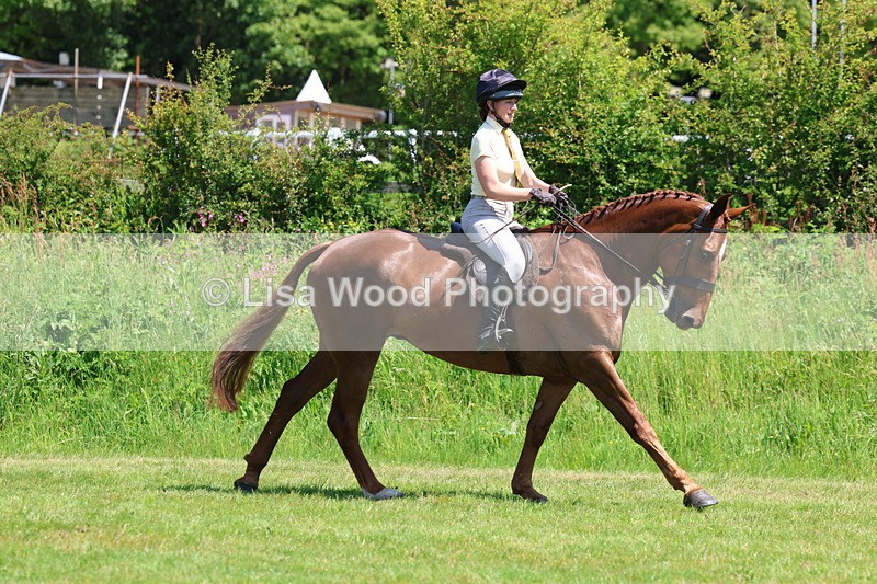 3E7A8055 - Working Hunter Championship