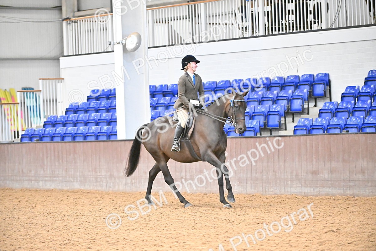 SBM_002421 - Class 22 - BSHA Ridden Hack & Riding Horse