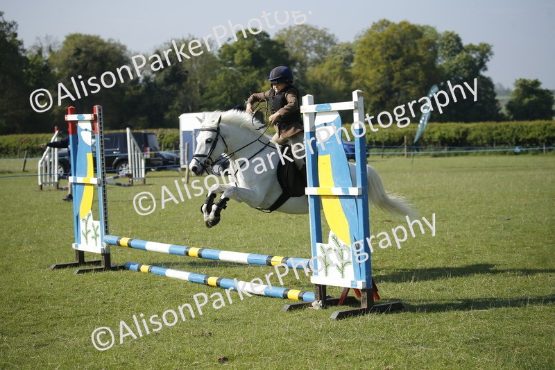 20250427-0350 - Class 12 - Rookie Jumping 40cm