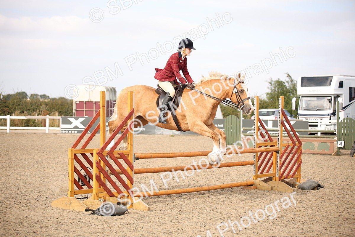 SBM_17261 - Class 410a - Wor5king Veteran 90cm (15-19)