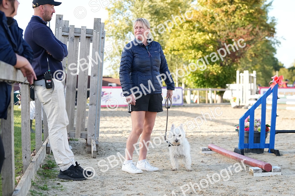 SBM_29418 - J44 - Horse & Hound Open 70cm