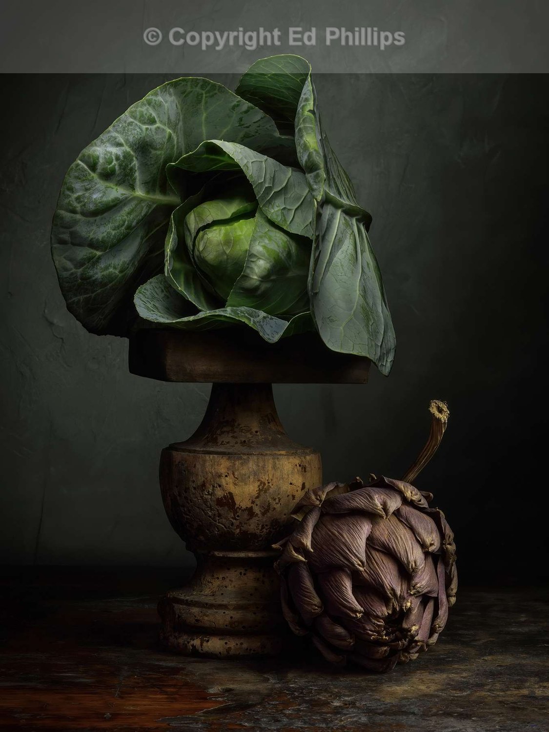 Still-life with Cabbage