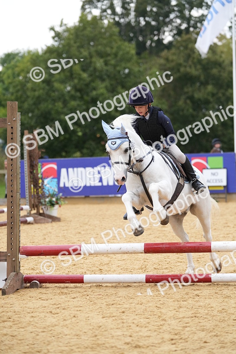 SBM_74589 - J4 - Mini Tour Junior Pony 45cm Championship