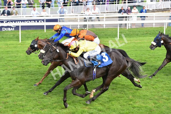 yr10072021r7-14 - Race 7: 5.15pm John Smith's Stakes