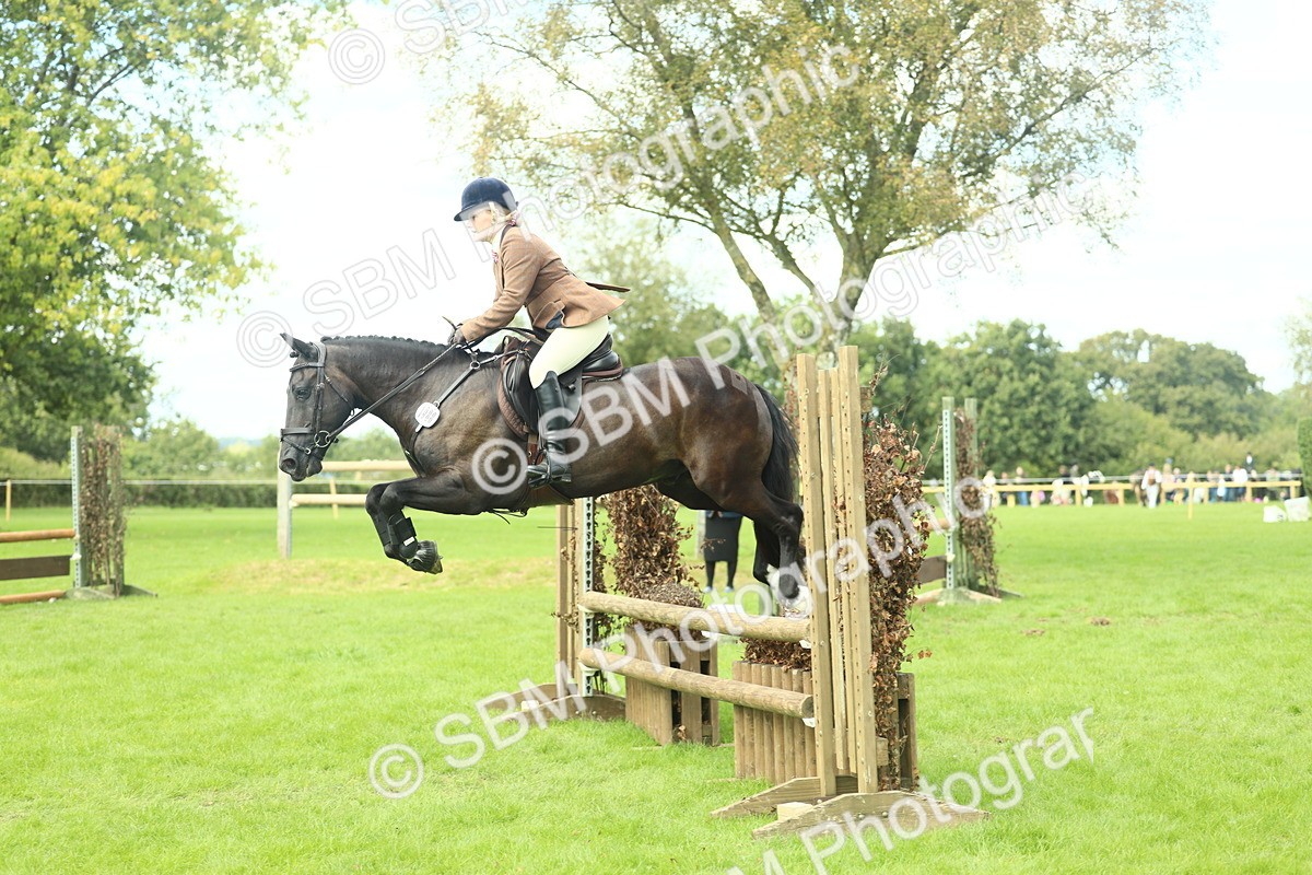 SBM_44777 - S31 - Working Hunter Pony