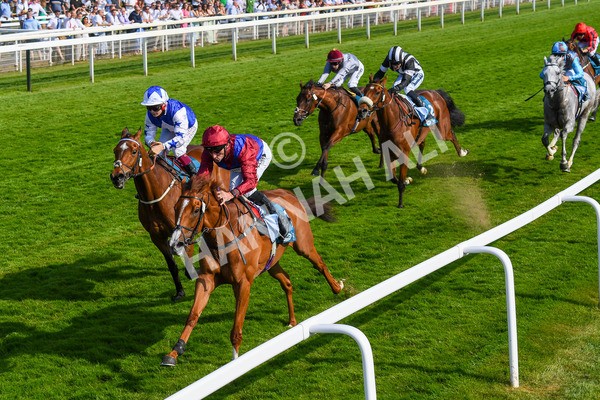 160623-Race 7-Diamond Bay-0780 - Race 7 5.21pm Constant Security Handicap