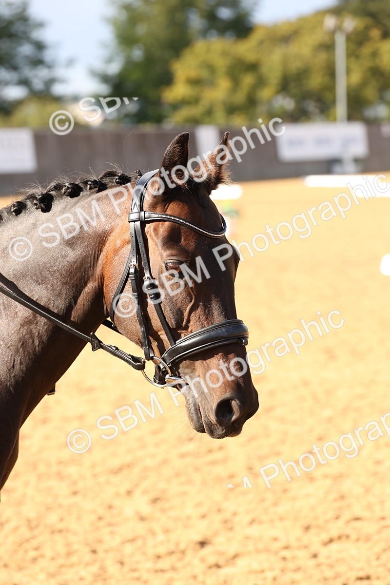 SBM_50490 - D12 - Small Tour Championship prelim 2