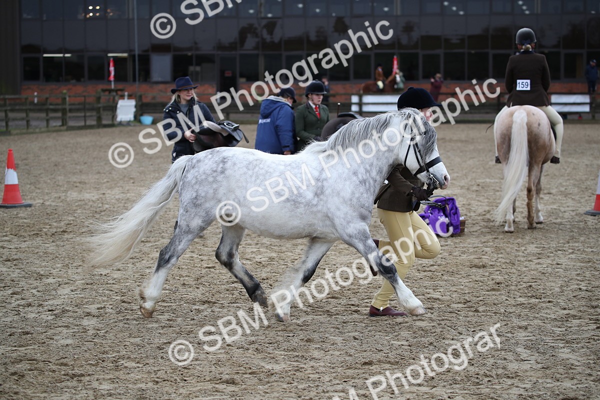 SBM_006422 - Class 10-13 - RIHS Small Large Breeds