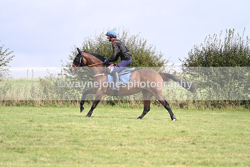 WJ7_6915 - Time 12:18 to 12:59