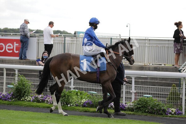 yr11062021r7-4 - Race 7 5.05pm SASH Charity Stakes