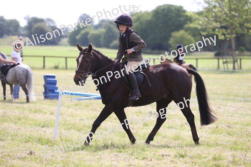 20260614-0525 - Class 20 - Beginners Working Hunter Pony