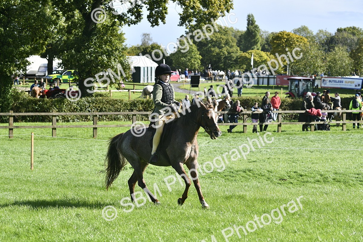 SBM_37265 - S31 - Novice & Newcomer Working Hunter Pony
