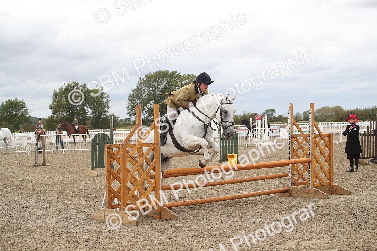 SBM_18253 - Class 509a - Working Veteran - 80cm (15-19)