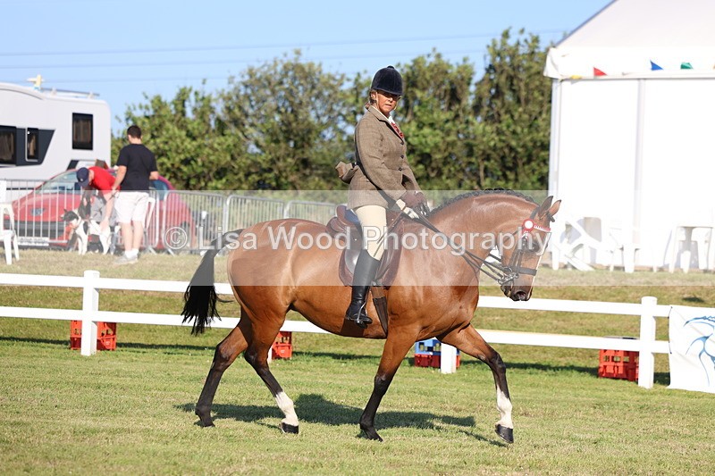 3E7A4926 - Class 1: Rising Star Small Hack/Riding Horses