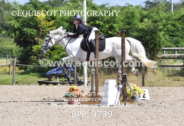 BPP_3739 - CLASS 5 SAT Pony Discovery / 90cm Open