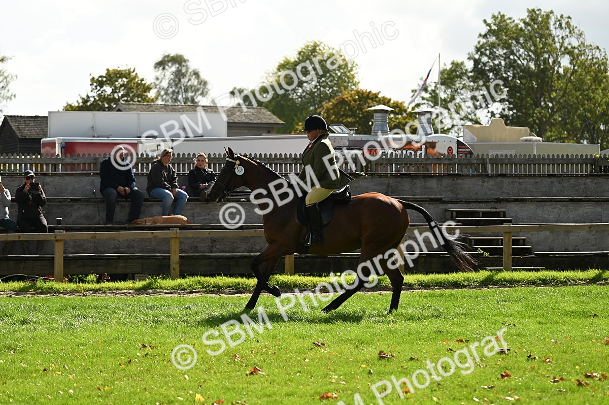 SBM_01670 - S2 - TSR Ridden Horse Showing