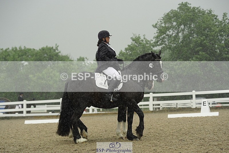 230708A-123126-00413 - BRC Pairs 5