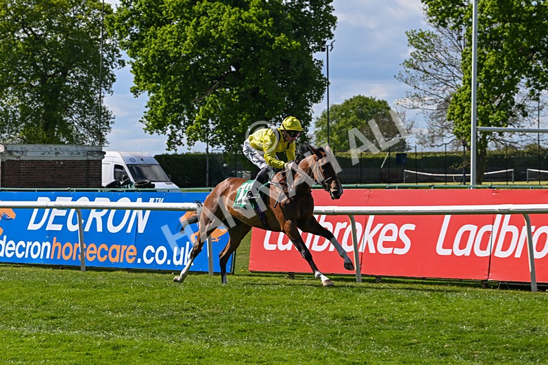 030525-Race 4-Woroodd-3037 - Race 4