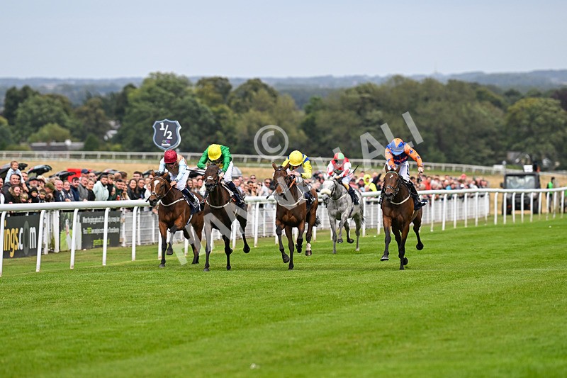 250824-Race 3-Blueandtangerine-3197 - Race 3