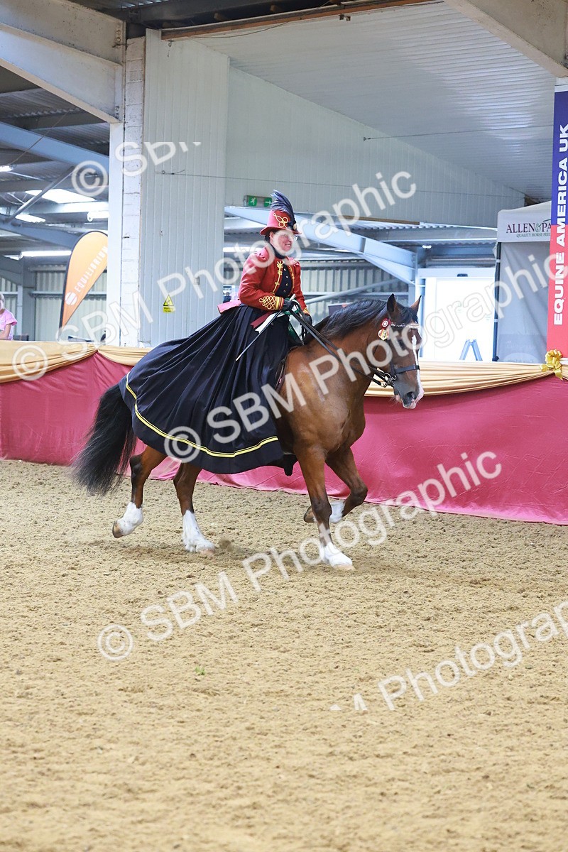 SBM_14861 - Class 108 - Ridden Costume - Astride Adult (20+)