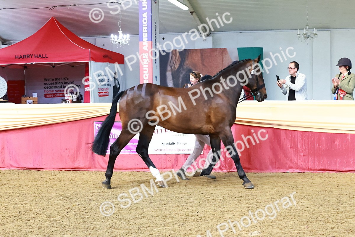 SBM_22452 - Class 902 - Supreme Final - IH Diamond