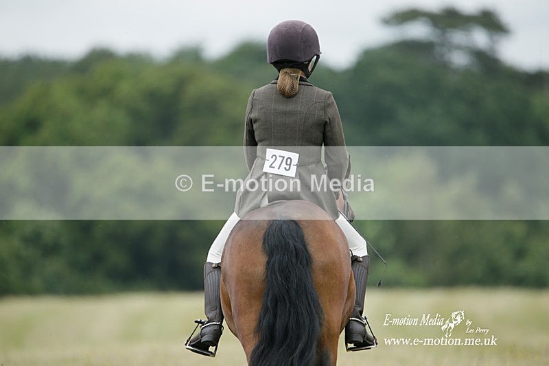 BVRC 030721 395 - Bourne Valley Riding Club Dressage 03/07/21