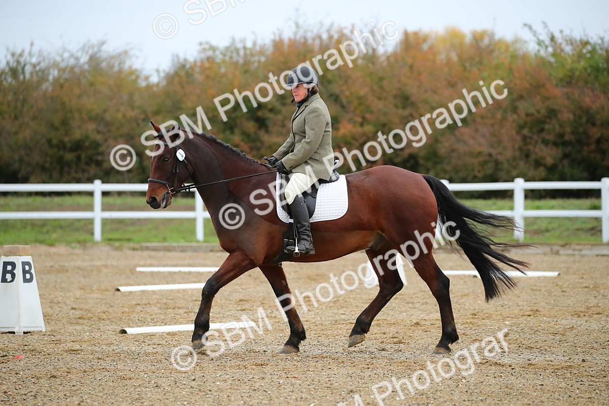 SBM_000386 - Intro 2