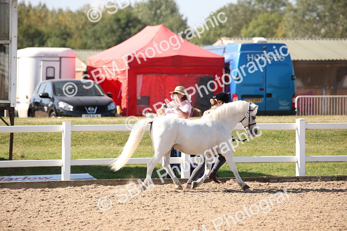 SBM_02664 - Class 16 IH M&M Wildcard