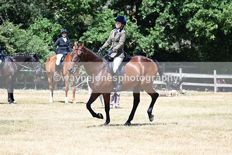WJ7_3127 - Class 7 Riding Club Show Horse
