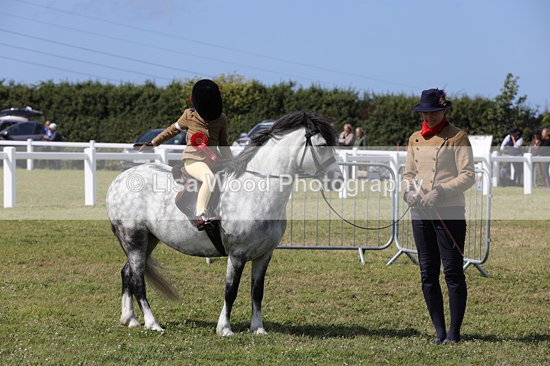 1X9A5479 - M&M Mini Ridden Championship