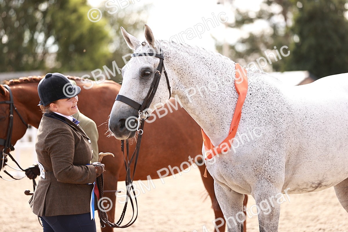 SBM_13365 - class 406 - IH Hunter