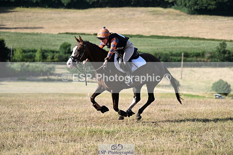 250803A-180354-18588 - R-821-Josephine.Grey-GEMMASTON.ALL.THAT.GLITTERS