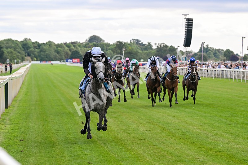 250726-Race 6-Likealot-7669 - Race 6 16.17pm Sky Bet Build A Bet Handicap