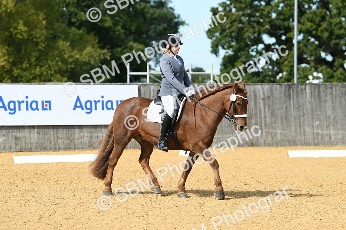 SBM_20900 - D13 - Grand Tour Championship - Prelim 12