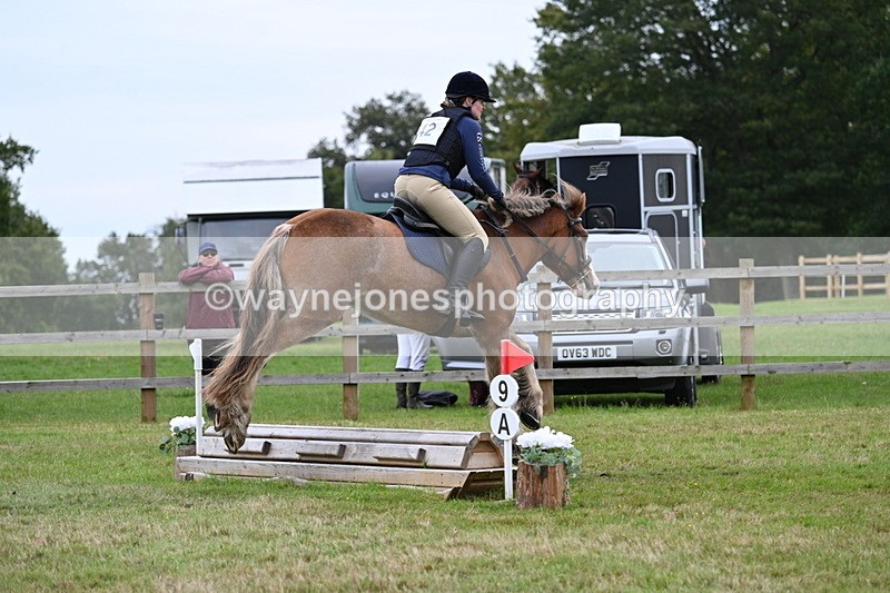 WJ7_7738 - 40cm Time 10:49 to 11:18