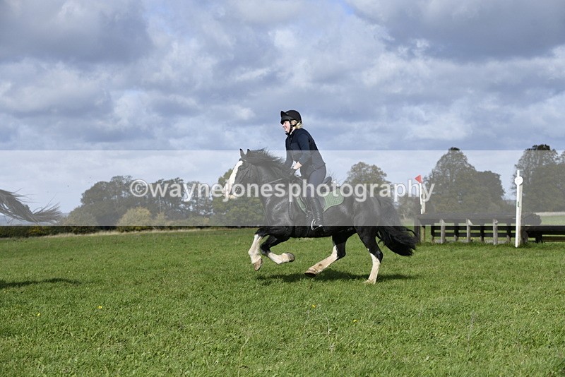 _DSC6990 - Time 12:05 to 12:53