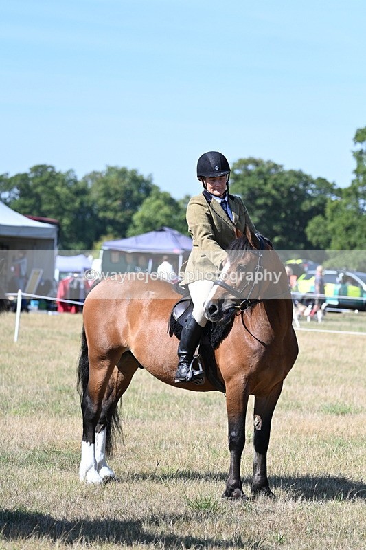 WJ7_3699 - Class 9 Mountain & Moorland Ridden