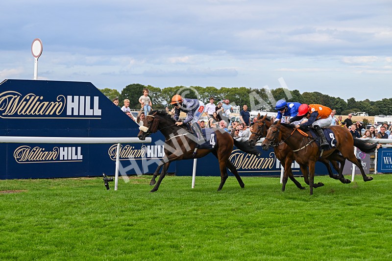 300826-Race 6-Court Legend-1565 - Race 6 4.30pm Return Of The Legend Martin Spencer Nursery Handicap