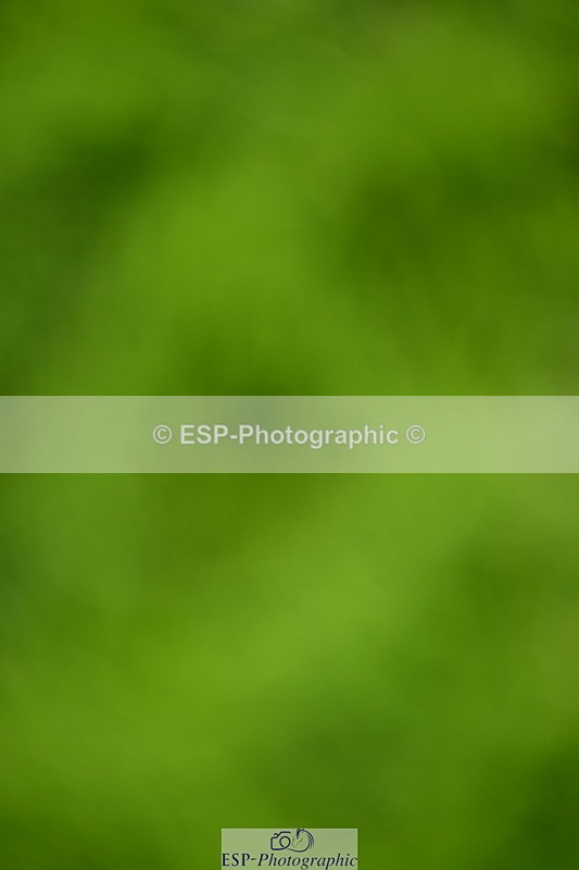 250703A-093550-02246 - Cls 1 Snr Foxhunter