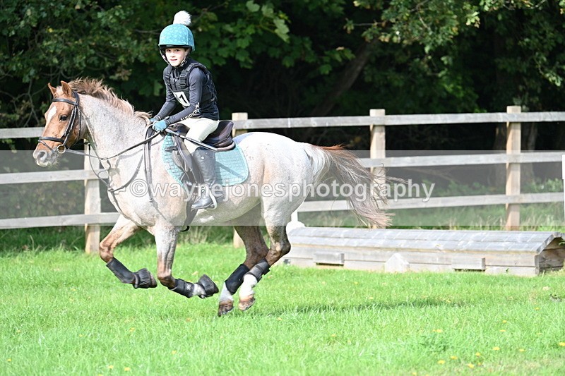 WJ7_5039 - 60cm Time 11:11 to 11:19