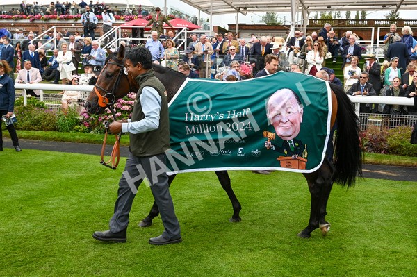 220824-Race 2-Diligently-6589 - Race 2 2.25pm Harry's Half Million By Goffs Premier Yearling Stakes